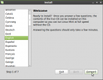 Manual disk partitioning guide for Linux Mint 9 and Ubuntu 10.04