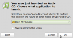 Audio prompt