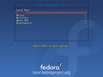 Boot options for bfo method of installation