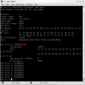 Output of cryptsetup luksDump