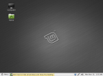 Linux Mint 10 desktop