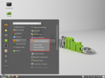 What does Cinnamon bring to the desktop?