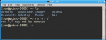 What will ‘rm -rf /’ actually do to your Linux/BSD machine?