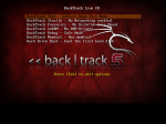 Manual disk partitioning guide for BackTrack 5 R2 GNOME