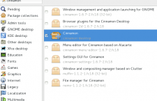 Install Cinnamon on Fedora 18