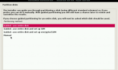 Kali Linux 1.0 review