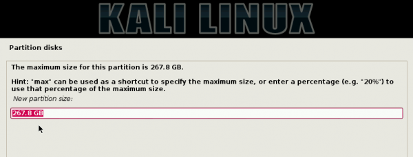 Kali Linux Create Partition size