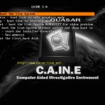 CAINE 3.0 review