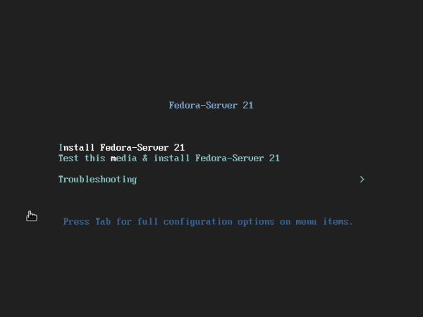 Fedora 21 server