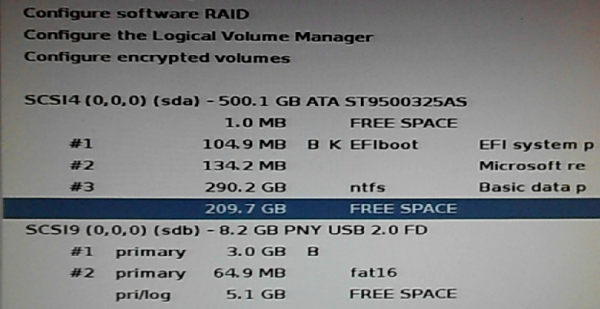 Kali Linux installer free space