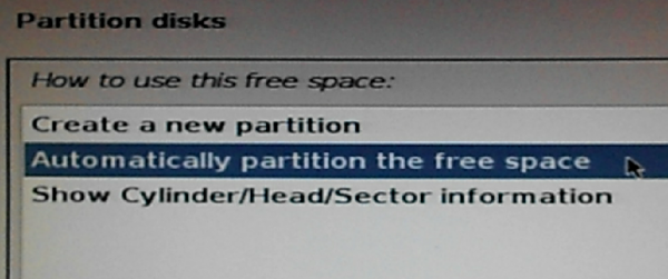 Kali Linux partition options