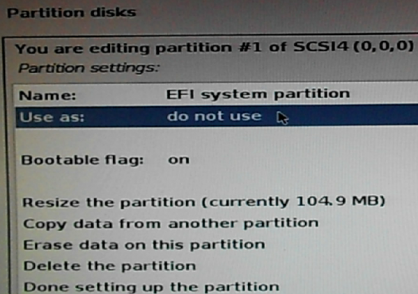 Kali Linux set EFI partition