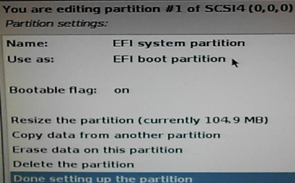 Kali Linux EFI boot partition