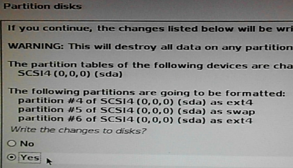 Kali Linux partitions