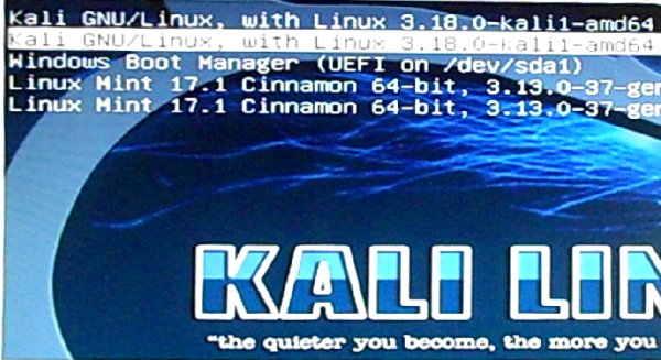 Kali Linux grub-update