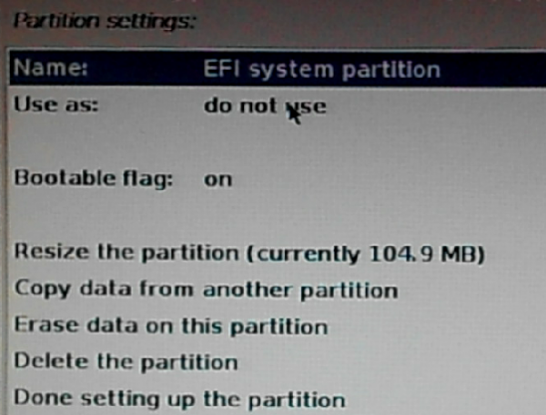 Use as boot EFI partition