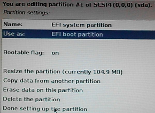 Use as EFI boot partition