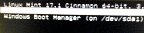 Linux Mint 17.1 GRUB dual-boot menu