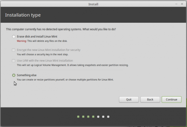 Something else Linux Mint 17.1