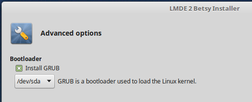 LMDE 2 install GRUB EFI partition